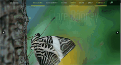 Desktop Screenshot of clarerooney.com